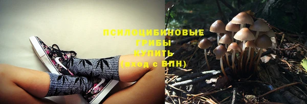 бошки Абинск