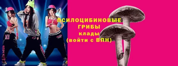 бошки Абинск