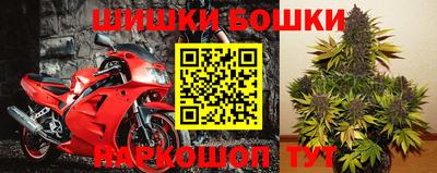 гашик Донецк